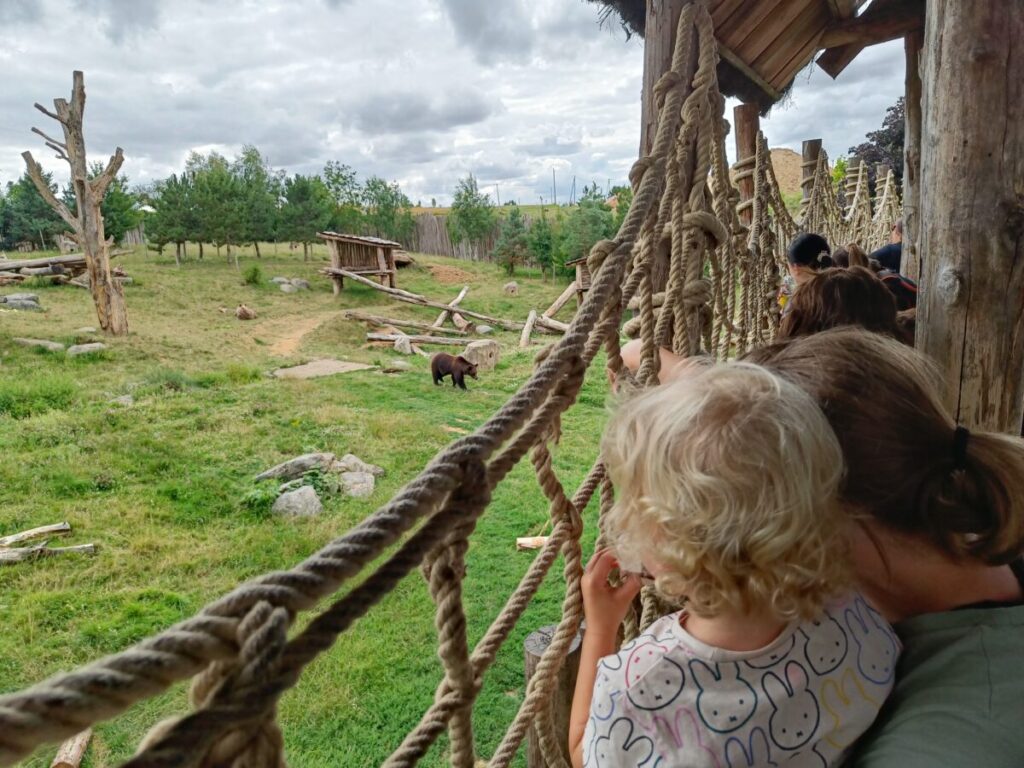 Beren in dierentuin Beauval